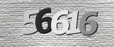 CaptchaImage