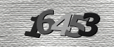 CaptchaImage