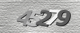 CaptchaImage