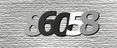 CaptchaImage