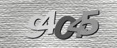 CaptchaImage