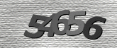CaptchaImage
