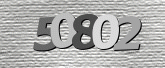 CaptchaImage