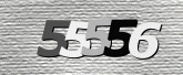 CaptchaImage