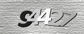 CaptchaImage