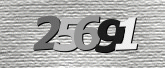 CaptchaImage
