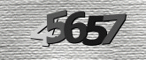 CaptchaImage