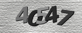 CaptchaImage