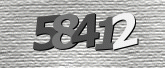 CaptchaImage