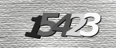 CaptchaImage