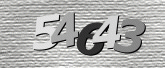 CaptchaImage