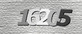 CaptchaImage