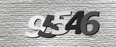 CaptchaImage