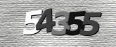 CaptchaImage