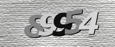 CaptchaImage