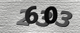 CaptchaImage