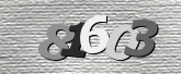 CaptchaImage