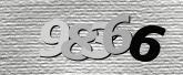 CaptchaImage