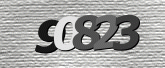 CaptchaImage