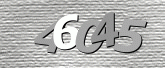 CaptchaImage