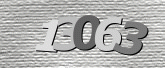 CaptchaImage