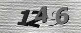CaptchaImage