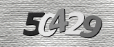 CaptchaImage