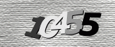 CaptchaImage