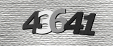 CaptchaImage