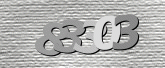 CaptchaImage