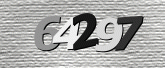 CaptchaImage