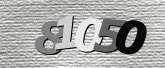 CaptchaImage
