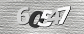 CaptchaImage