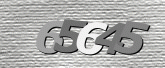 CaptchaImage