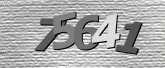 CaptchaImage