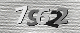 CaptchaImage