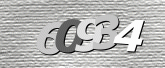 CaptchaImage