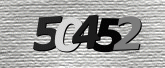 CaptchaImage
