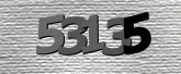 CaptchaImage