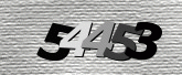 CaptchaImage
