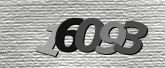 CaptchaImage
