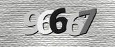 CaptchaImage