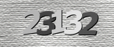 CaptchaImage