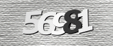 CaptchaImage
