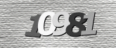 CaptchaImage