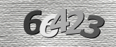CaptchaImage