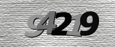 CaptchaImage