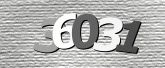 CaptchaImage
