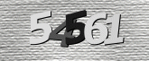 CaptchaImage