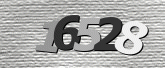 CaptchaImage